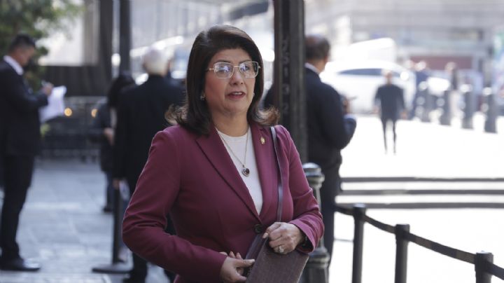 FGJEM investiga de oficio caso de presunto maltrato animal derivado del sacrificio de 10 mil perros