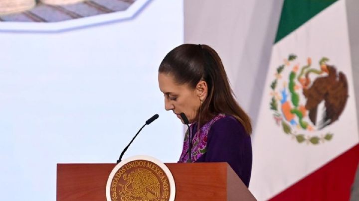 Sheinbaum justifica el sacrificio de 10 mil perros en Tecámac; "estaba en una norma"