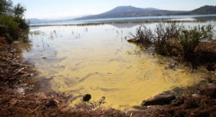 Comuneros exigen diálogo con el gobierno para atender crisis ambiental en el lago de Zirahuén