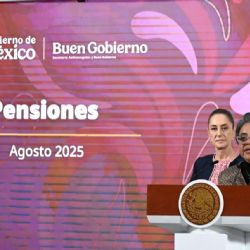 Naturaleza de las normas transitorias: Abusos y excesos