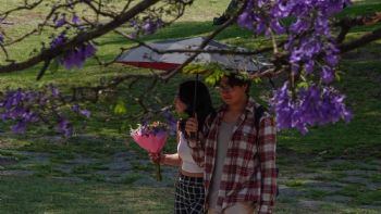 Lluvias y chubascos en la mitad del país de viernes a lunes; se extiende la onda de calor