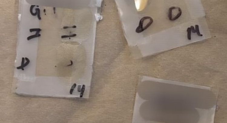 Alertan en Jalisco por fraude mediante clonación de huellas dactilares