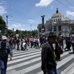 22 de abril, Día Internacional de la Tierra