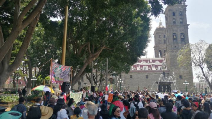 “No es progreso, es ecocidio": ciudadanos protestan contra cablebús en Puebla