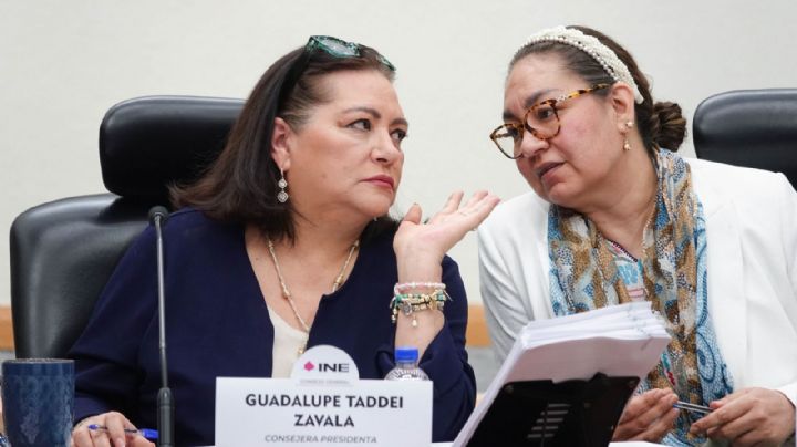 Taddei aprovecha llegada de nuevos consejeros al INE para oficializar nombramientos de sus cercanos