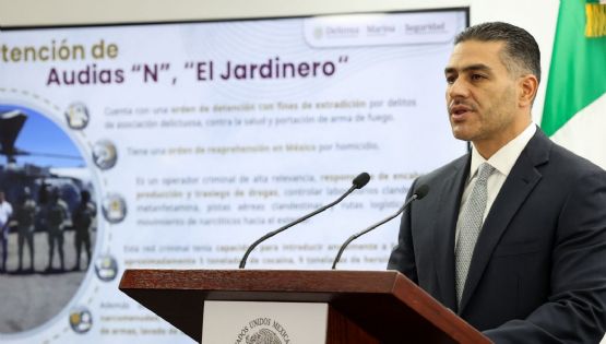 La captura de “El Jardinero” fue íntegramente ejecutada por autoridades mexicanas: Harfuch