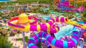Foto ilustrativa de la nota titulada: Semarnat niega permiso para la construcción del parque Perfect Day en Mahahual (Video)