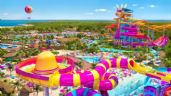 Foto ilustrativa de la nota titulada: Magistrados avalan desmonte de selva a favor de Royal Caribbean para que construya parque acuático