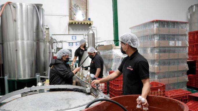 La economía cae 0.8% en el primer trimestre: retroceso en todos los sectores