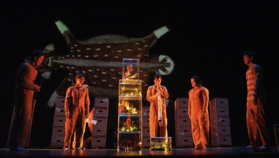 “Autobiografía del algodón”, de Cristina Rivera Garza