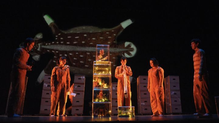 “Autobiografía del algodón”, de Cristina Rivera Garza