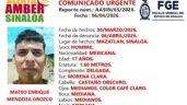 Foto ilustrativa de la nota titulada: Activan Alerta Amber por adolescente originario de Torreón que desapareció cuando iba a Mazatlán