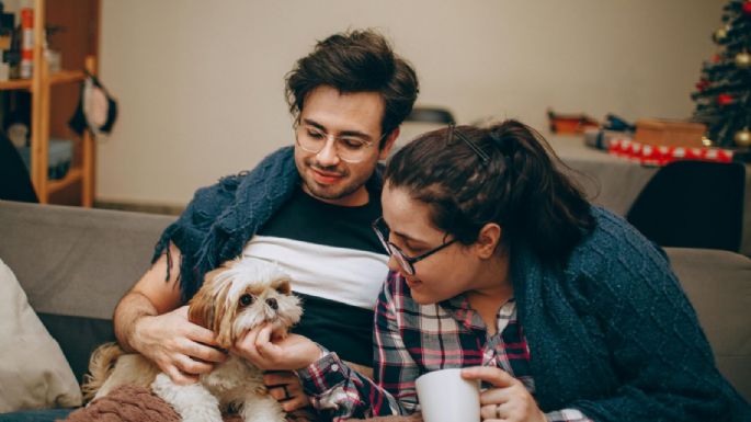 Italia impulsa permiso laboral para cuidar mascotas enfermas; esto es lo que propone
