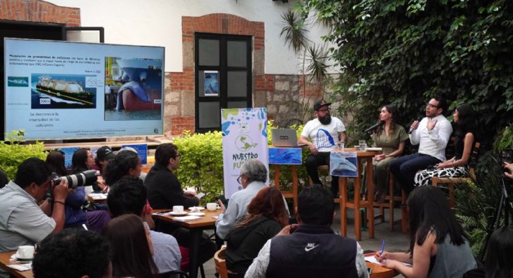 Jueza otorga medidas cautelares a favor de ballenas contra buques metaneros del proyecto Saguaro