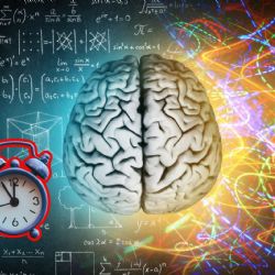 Cómo cambia el cerebro humano desde la infancia hasta la vejez, según la UNAM