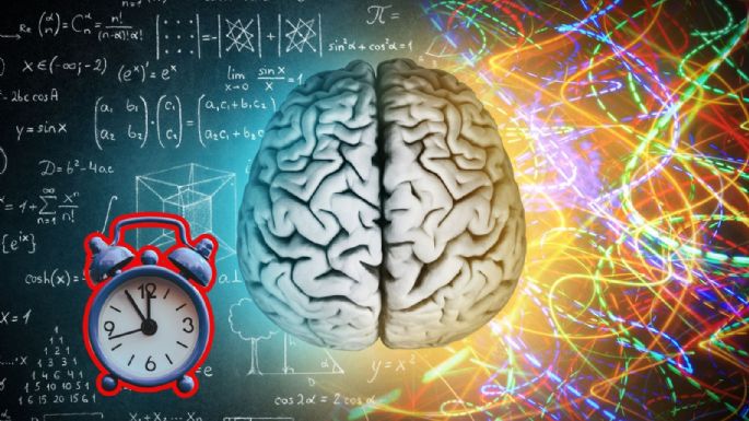 Cómo cambia el cerebro humano desde la infancia hasta la vejez, según la UNAM