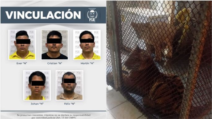 Por explotación animal, vinculan a cinco a proceso; entre ellos un exregidor suplente de Morena