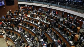 El sinaloense en el Senado. Esto apenas empieza
