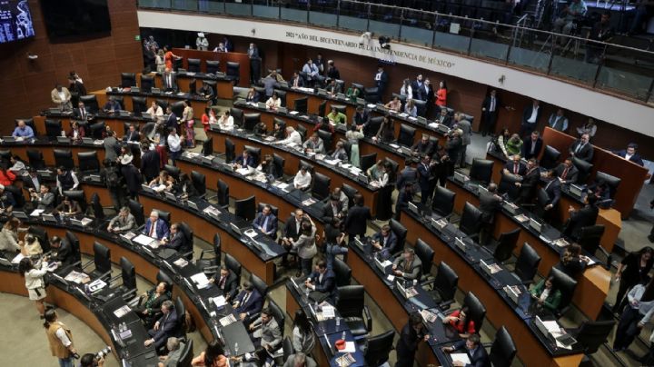 El sinaloense en el Senado. Esto apenas empieza