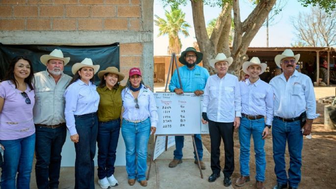 Gobernador Durazo y Sader garantizan apoyo al campo sonorense con estrategia de reconversión