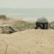 Star Wars: The Mandalorian and Grogu” lidera la taquilla