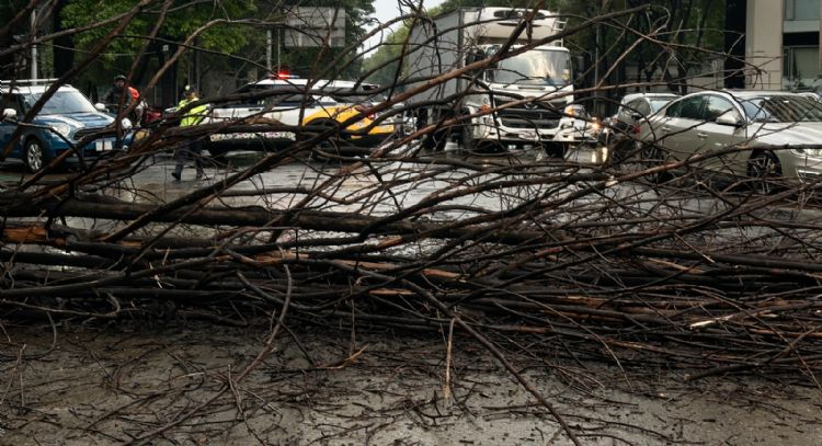 Obras para enfrentar lluvias no estarán listas antes del Mundial: Brugada