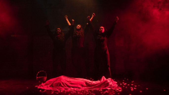 “Rosa Roja”, Rosa Luxemburgo la comunista