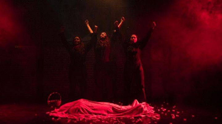 “Rosa Roja”, Rosa Luxemburgo la comunista