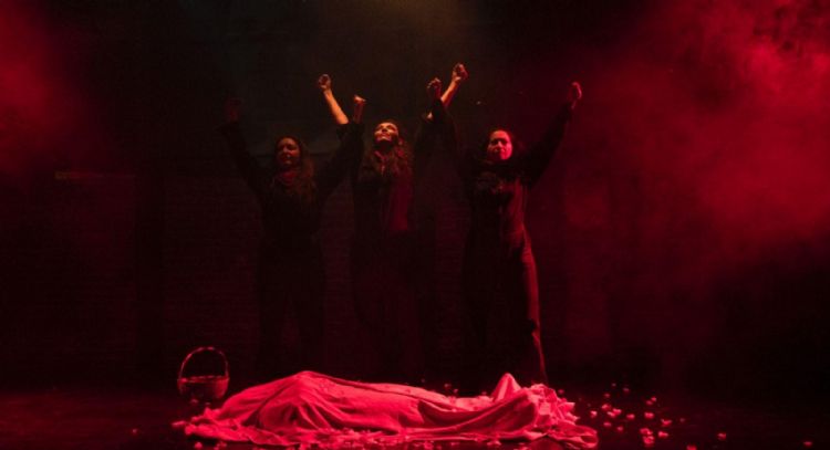 “Rosa Roja”, Rosa Luxemburgo la comunista