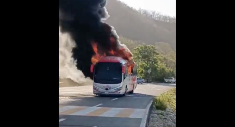 Bloqueos y quema de vehículos en Michoacán por asesinato de autoridades de Pómaro (Video)