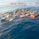 La Marina asegura más de dos toneladas de cocaína en aguas del Golfo de Tehuantepec