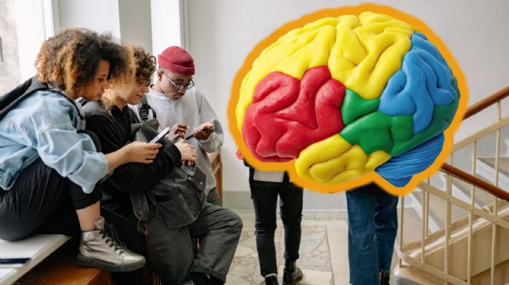 La adolescencia cerebral se extiende hasta los 32 años, según estudio de Cambridge