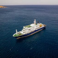 ¿Qué es el hantavirus y cómo se transmite?: claves del brote en un crucero que dejó tres muertos