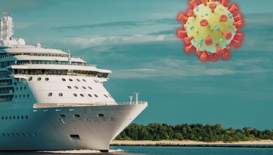 Hantavirus: causas, síntomas y caso de tres muertos en crucero del Atlántico