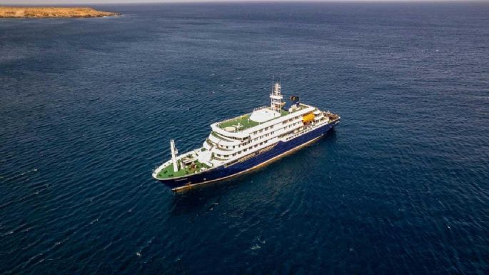 ¿Qué es el hantavirus y cómo se transmite?: claves del brote en un crucero que dejó tres muertos