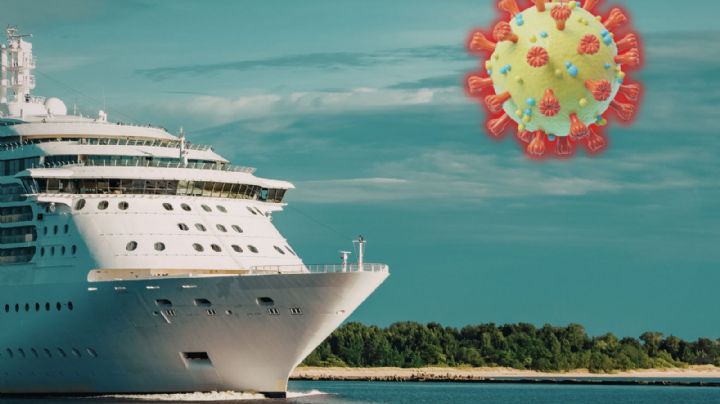 Hantavirus: causas, síntomas y caso de tres muertos en crucero del Atlántico
