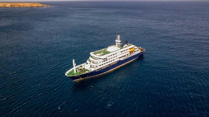 ¿Qué es el hantavirus y cómo se transmite?: claves del brote en un crucero que dejó tres muertos