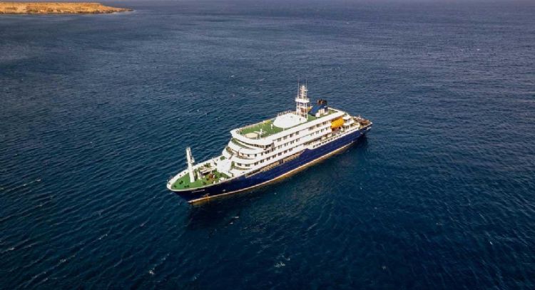 ¿Qué es el hantavirus y cómo se transmite?: claves del brote en un crucero que dejó tres muertos