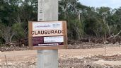 Foto ilustrativa de la nota titulada: Pese a suspensión definitiva de construcción en la selva maya, empresa avícola retoma obras