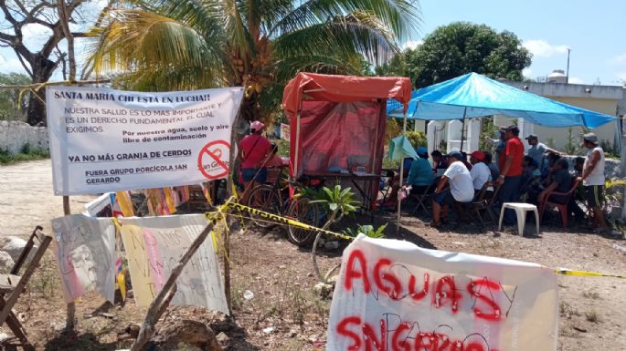 Tras cierre de megagranja porcícola, comunidad enfrenta el reto de sanear Santa María Chi