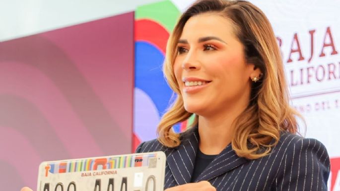 Marina del Pilar descarta solicitar licencia como Rubén Rocha Moya