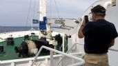 Foto ilustrativa de la nota titulada: “No es otro COVID”: jefe de la OMS a población de Tenerife, donde arribará crucero con hantavirus
