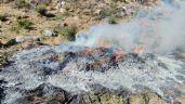 Foto ilustrativa de la nota titulada: Destruyen ocho plantíos y tres secaderos de mariguana en Ensenada, Baja California