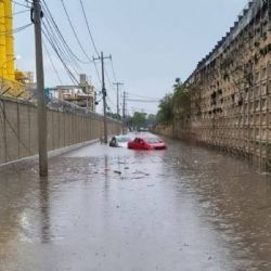 Onda tropical 4 paraliza actividades en Yucatán y suspende clases en Campeche