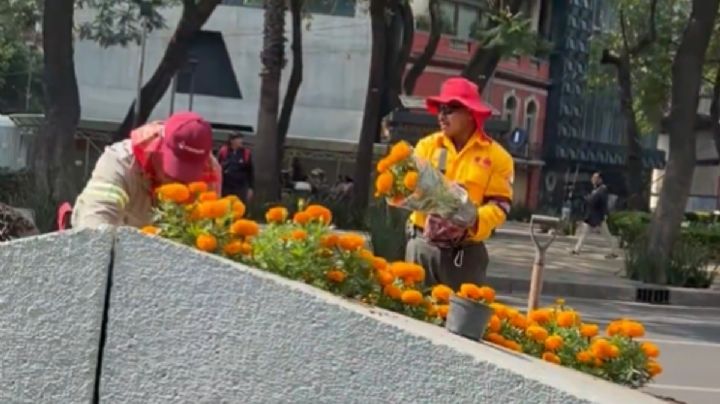Por el Mundial, adelantan la instalación de flor de cempasúchil en avenidas de la CDMX