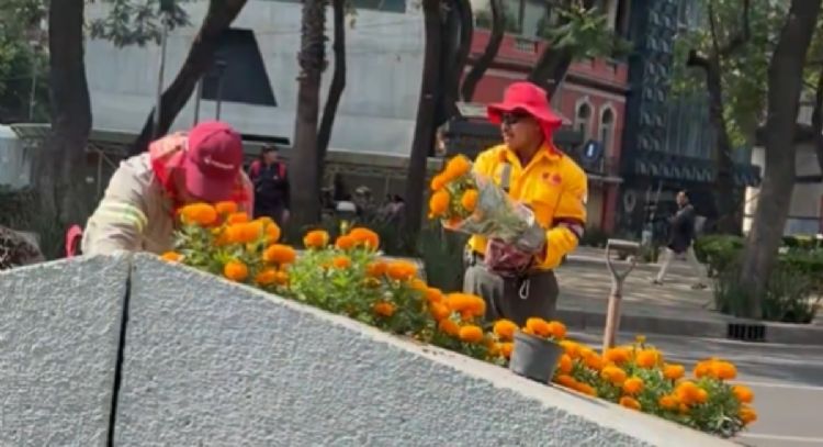 Por el Mundial, adelantan la instalación de flor de cempasúchil en avenidas de la CDMX