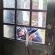 ONG condenan el secuestro de la periodista Roxana Berenice Guzmán en Veracruz
