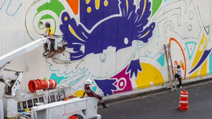 Movimiento Ciudadano denuncia a Brugada por la “ajolotización” y pintar de morado la CDMX