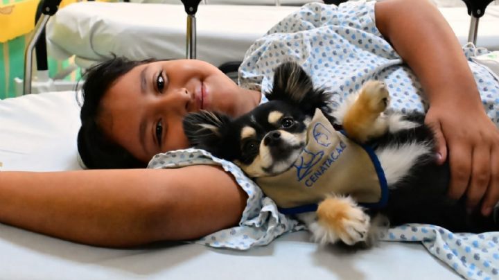 Terapias con perros ayudan a pacientes a fortalecer su bienestar emocional en el INP