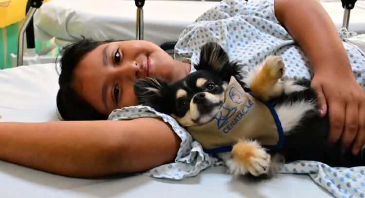 Terapias con perros ayudan a pacientes a fortalecer su bienestar emocional en el INP